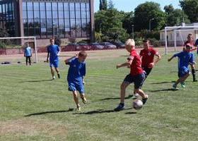 IMG_1895 (Large)