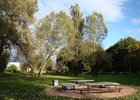 Obraz 014