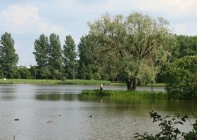 Obraz 013