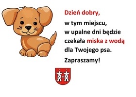 Miseczki z wodą dla psów