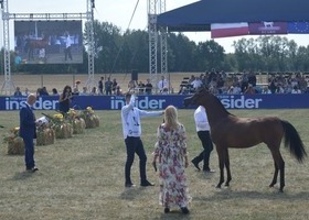 VI Edycja Al Khalediah European Arabian Horse Festival 