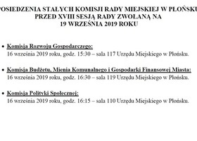 Stałe Komisje Rady Miejskiej