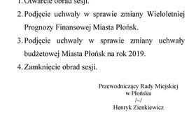 XIX sesja Rady Miejskiej