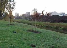 Apel do mieszkańców Płońska