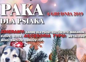 Świąteczna zbiórka dla schroniska w Pawłowie