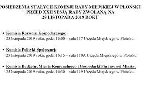 Posiedzenie Stałych Komisji Rady Miejskiej w Płońsku