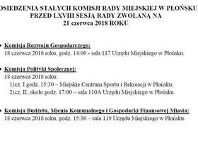 Posiedzenia Stałych Komisji Rady Miejskiej w Płońsku