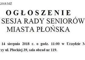 XI Sesja Rady Seniorów Miasta Płońska