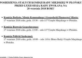 Posiedzenie Stałych Komisji Rady Miejskiej w Płońsku