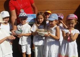 Międzynarodowy Dzień Pokoju