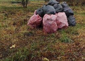 Zebrano około 20 worków śmieci