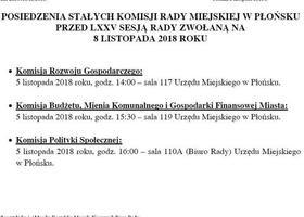Posiedzenie Stałych Komisji Rady Miejskiej w Płońsku
